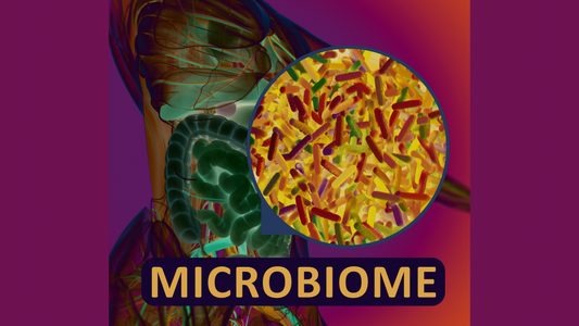 Unlocking the Mysteries of the Gut Microbiome: A Comprehensive Guide